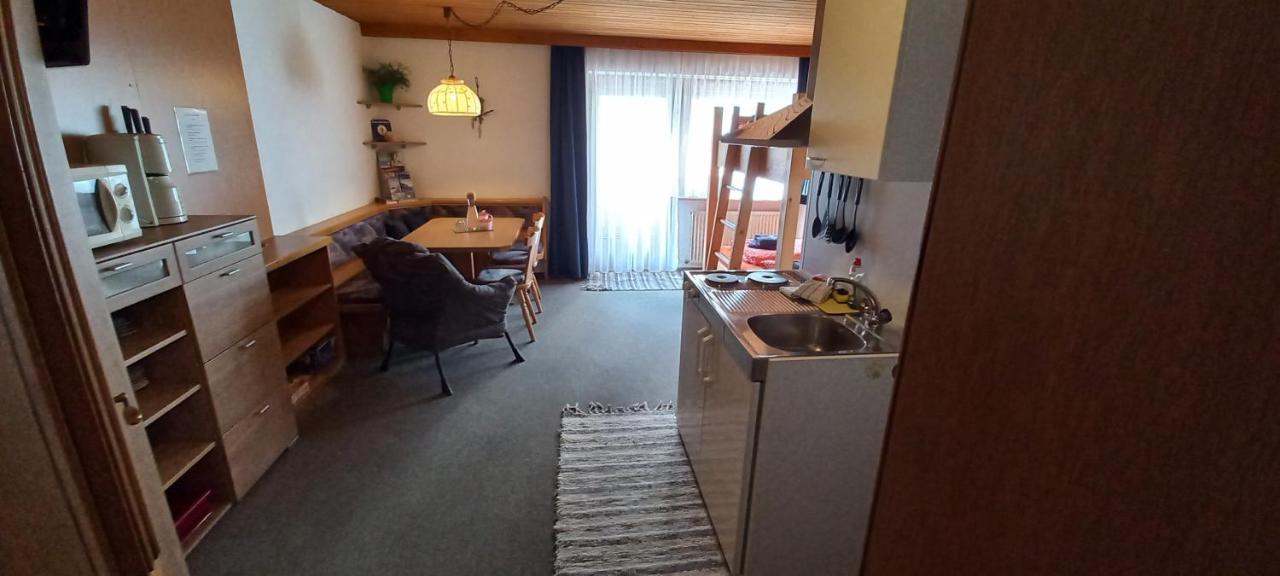 Studio Hochzillertal Mit Sauna & E-Ladestation Daire Ried im Zillertal Dış mekan fotoğraf